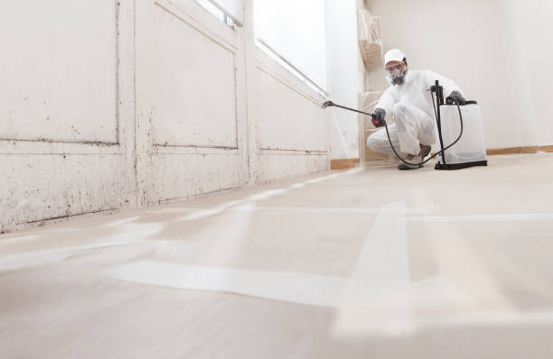 24/7 Emergency Basement Mold Remediation experts in Washington, PA